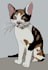 create a cartoon avatar of your picture
