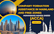 provide company formation services in the uae, mainland and freezone