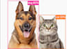develop ai models for object detection, segmentation