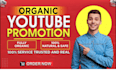 do organic youtube promotion and increase views, subscribers with google ads