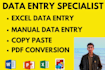 offer reliable data entry services including data entry, excel task, PDF convert