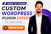 develop or fix custom wordpress plugin or vibe coded plugin