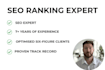 fix and optimise your wordpress website SEO