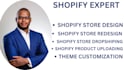build a professional shopify store that converts visitors to buyers