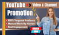 do best organic youtube video promotion to targeted viewers