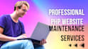 provide professional PHP website maintenance services