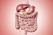 do medical and scientific illustrations