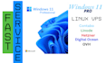 install windows 11 pro on contabo