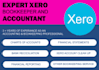 do bookkeeping, cleanup, catchup, and bank reconciliation using xero