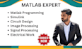 do matlab coding, simulink, programming, image, signal and data processing, gui