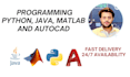 do python autocad matlab java programming