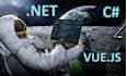 develop full stack custom web application as a vue and net