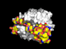 do anything in pymol software high quality images, videos, etc