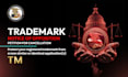 respond to a uspto trademark office action