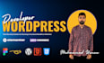 customize, design and develop wordpress website