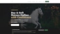provide hosting support and ongoing wordpress website maintenance