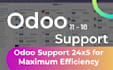 provide monthly support in odoo