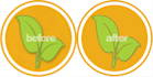 convert your any image or logo to Ai Eps Svg vector