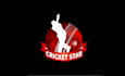 make enhance modern cricket brand logo