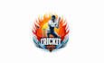 make attractive super cricket brand logo
