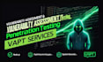 conduct web penetration testing, vulnerability assessment, and website security
