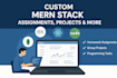 do web development assignments, projects in html css js mern