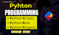 be your python programmer
