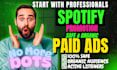 do professional spotify music promotion
