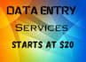 do data entry, I am a data encoder