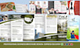 booklet design, trifold brochure design, company profile, annual report design