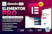install elementor pro licensed auto update