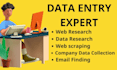 do accurate data entry, web research and data research