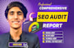do advanced technical SEO audit and website analysis