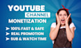 complete youtube channel monetization promotion