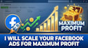 scale your facebook ads for maximum profit
