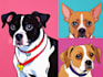 draw custom pet portrait in pop art style