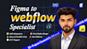 professional webflow website development custom design and cms