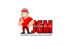design high quality business mascot logo