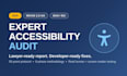 do an expert ada wcag web accessibility audit with lawyer ready report