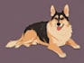 draw illustration pet portrait vector art