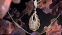 do render 3d animation, 3d chi ring, 3d product design, 3d jewelry design,3d chi