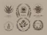 create hand drawn botanical boho logo designs
