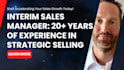 be your interim b2b sales manager