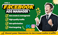 be your facebook ads manager
