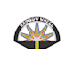 make intriguing rainbow wheel logo