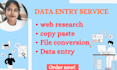 do data entry, web scraping, file conversion