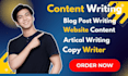write bulk SEO articles and blog posts monthly