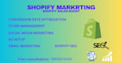 boost your shopify  sales with ads seo  store optimization