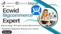 setup ecwid store, design ecwid site, ecwid product upload, ecwid dropshipping