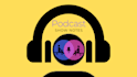 write SEO optimized podcast show notes fast